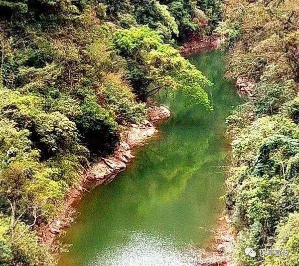 糖尿病人注意！这4种常见鱼肉，经济实惠又控糖